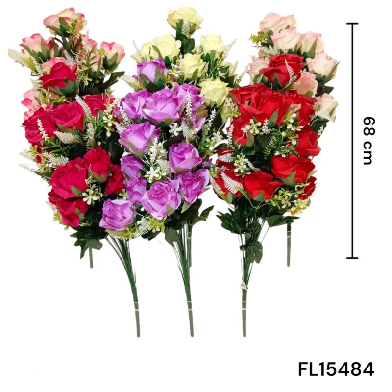 ROSA X24PCS