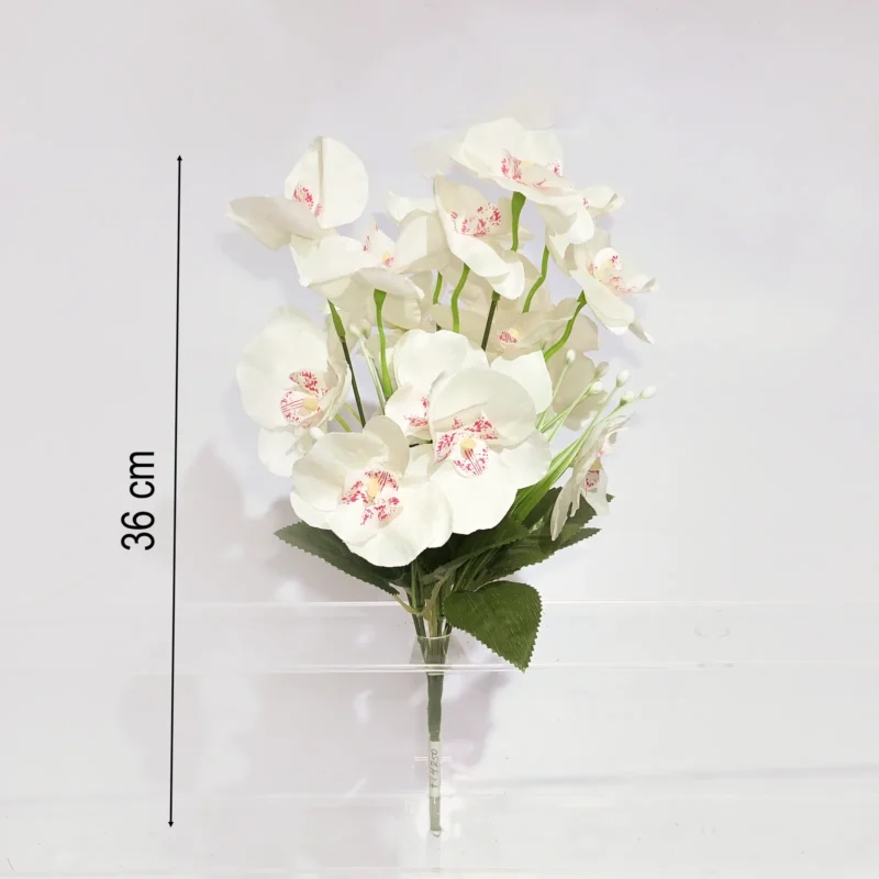 ORQUIDEA BLANCA X7PCS