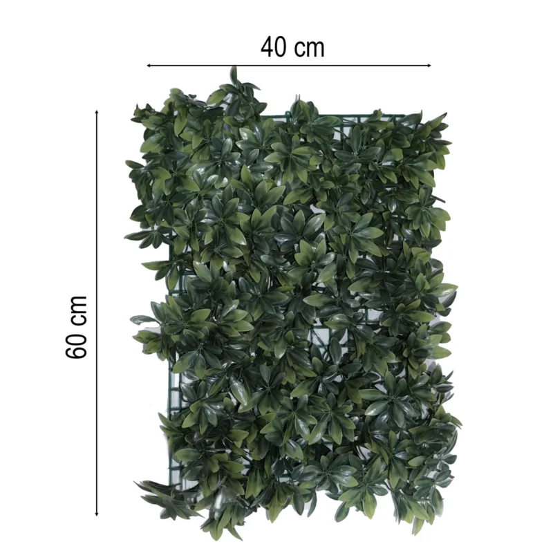 JASMIN AFORTUNADO40X60CM