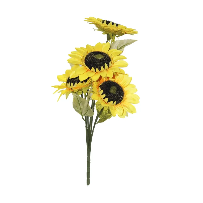 GIRASOL X6PCS +1CAPULLO