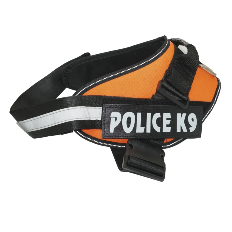 K9