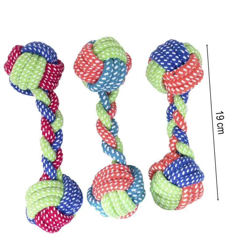 A01,19CM