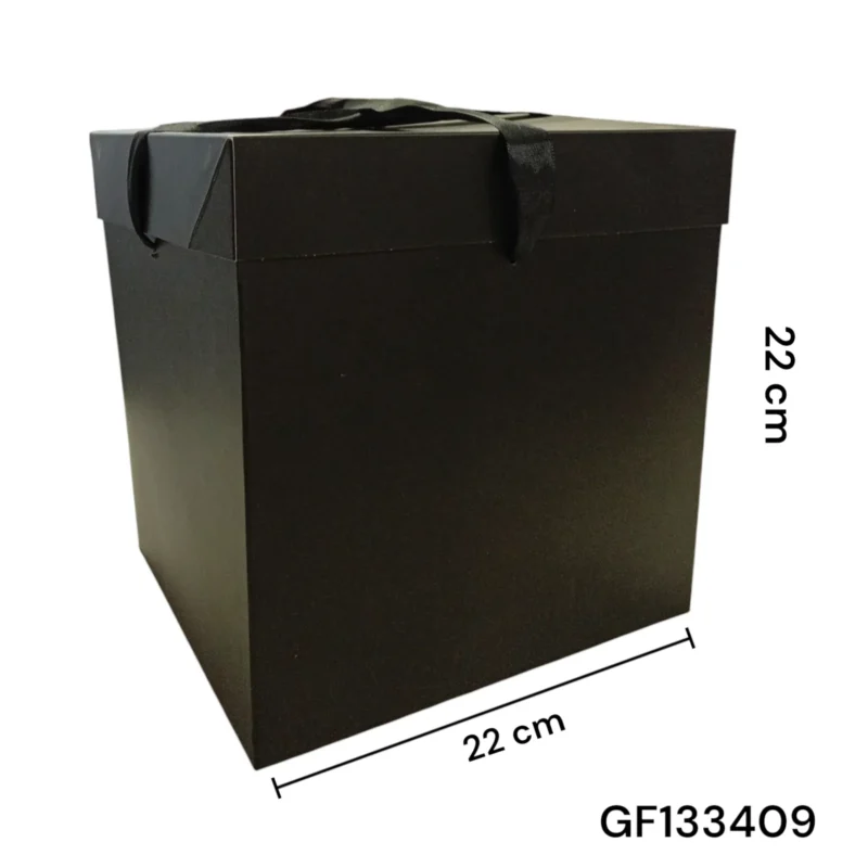 CAJA 22 X 22